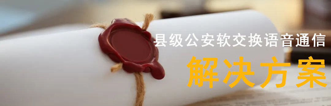 利達(dá)信：縣級(jí)公安軟交換語(yǔ)音通信解決方案